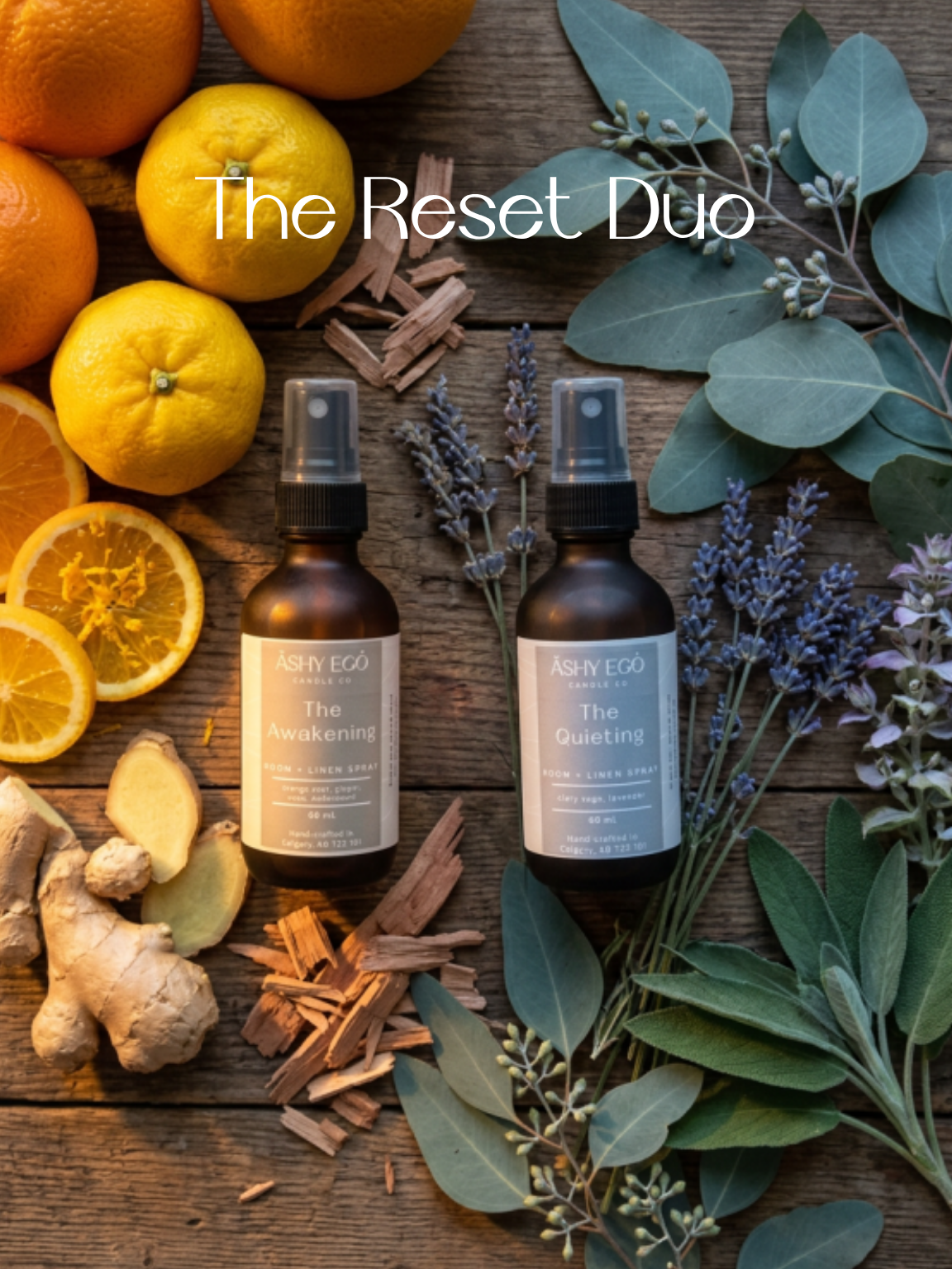 The Day + Night Duo